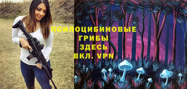 круглые Гусев