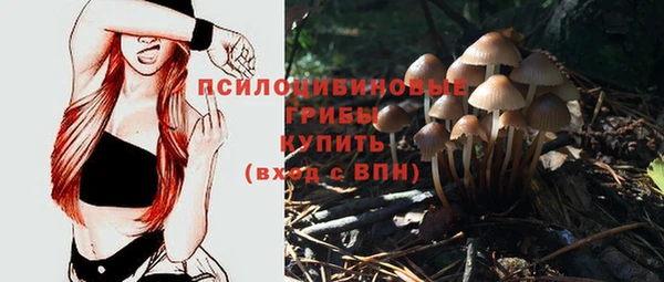 прущие крисы Вязники