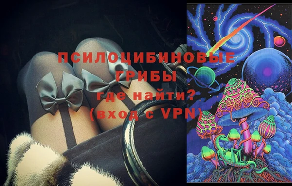 круглые Гусев