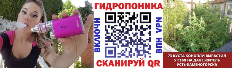 Бошки Шишки VHQ  KRAKEN зеркало  Жирновск 